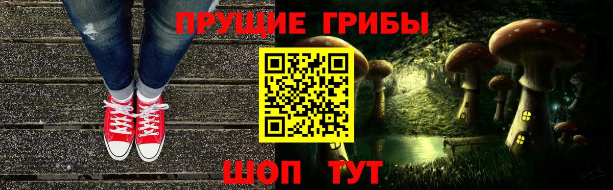 Каменка  Псилоцибиновые грибы мухоморы  где купить наркоту  Вход с VPN 