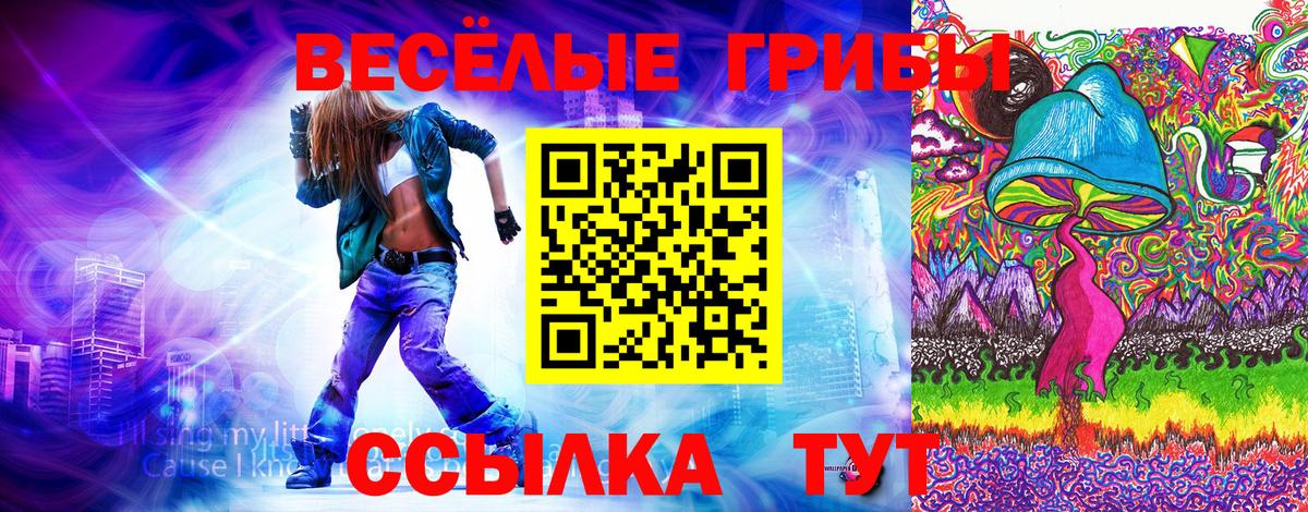 Галлюциногенные грибы ЛСД Каменка